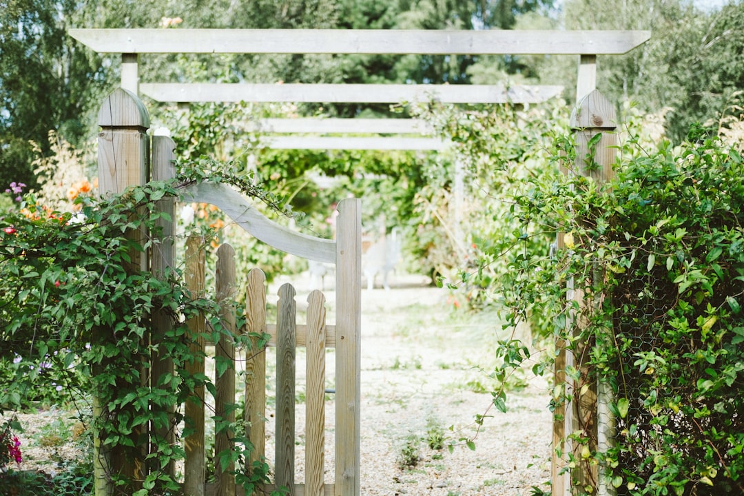 Photo Image: Garden Pathway Nouns: Garden, Light, Pathway