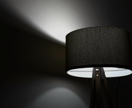 Photo floor standing lamp