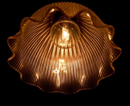 Photo pendant light