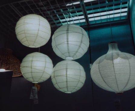 Photo rice paper pendant lamp