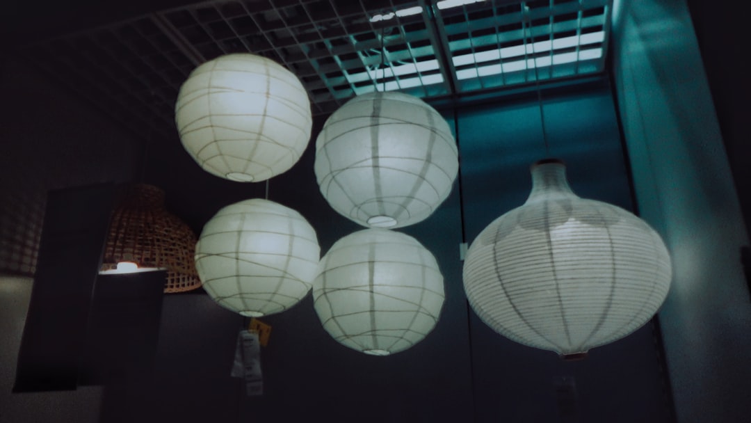 Photo rice paper pendant lamp